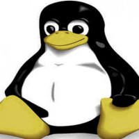 Linux Kernel